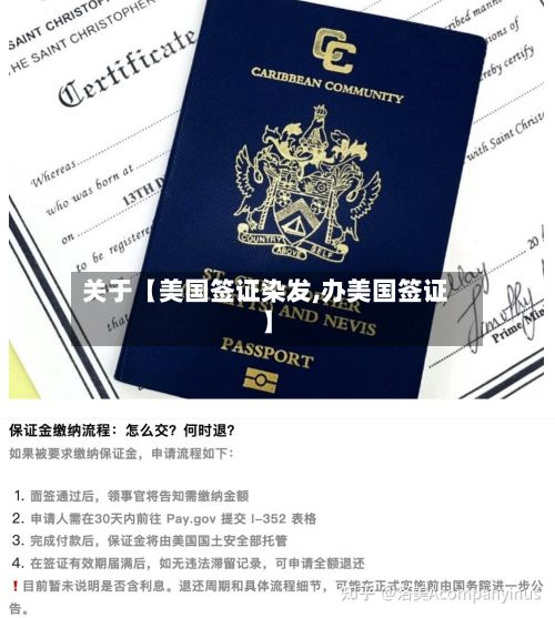 关于【美国签证染发,办美国签证】