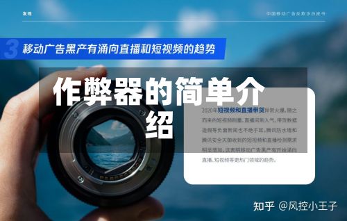 作弊器的简单介绍