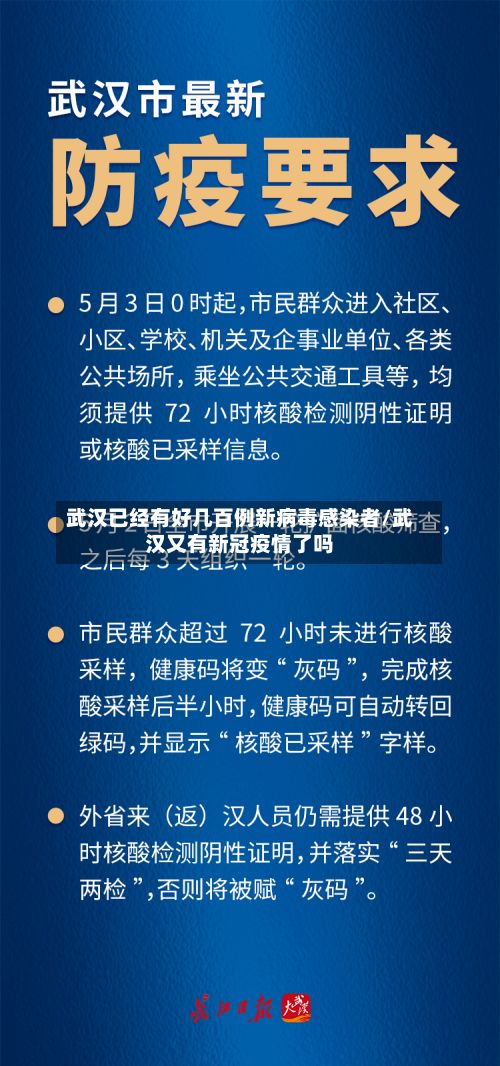 武汉已经有好几百例新病毒感染者/武汉又有新冠疫情了吗-第3张图片