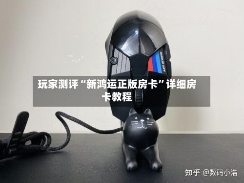 玩家测评“新鸿运正版房卡”详细房卡教程-第2张图片