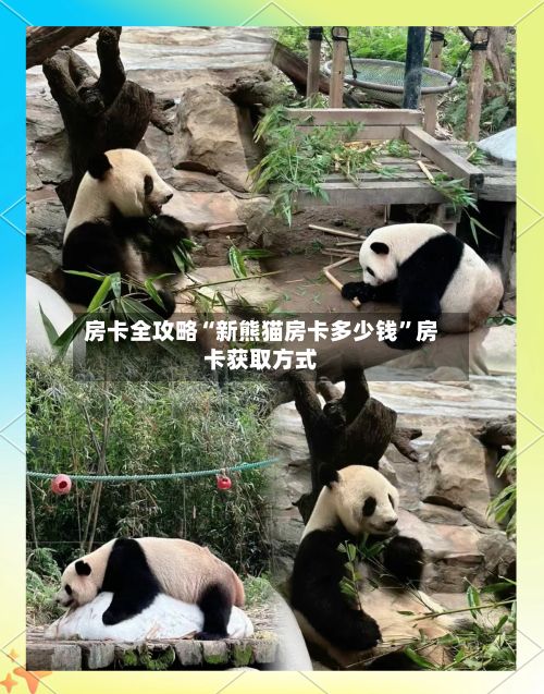 房卡全攻略“新熊猫房卡多少钱”房卡获取方式