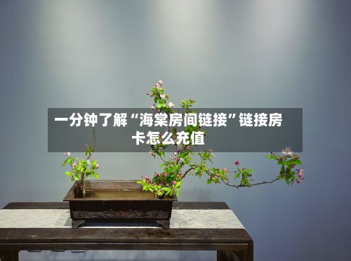 一分钟了解“海棠房间链接”链接房卡怎么充值-第3张图片