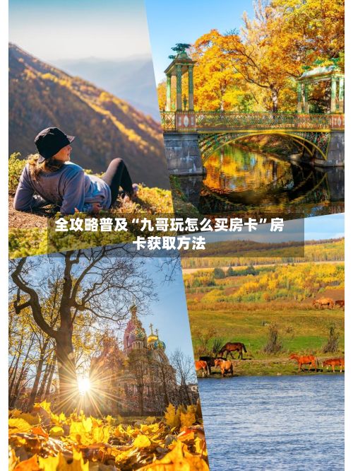 全攻略普及“九哥玩怎么买房卡”房卡获取方法-第2张图片