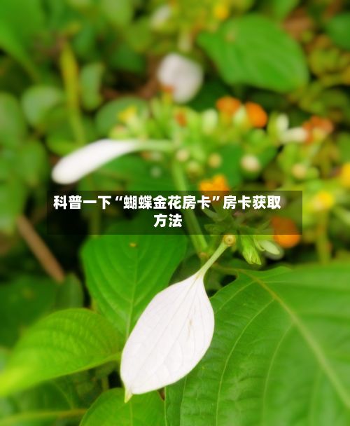 科普一下“蝴蝶金花房卡”房卡获取方法-第2张图片