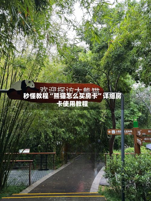 秒懂教程“熊猫怎么买房卡”详细房卡使用教程-第3张图片