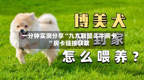 一分钟实测分享“九九联盟斗牛房卡”房卡链接获取-第2张图片