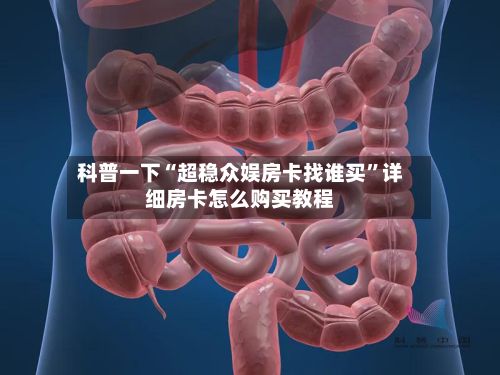 科普一下“超稳众娱房卡找谁买”详细房卡怎么购买教程-第3张图片