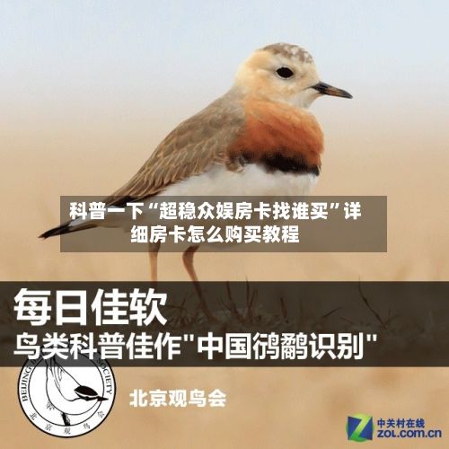 科普一下“超稳众娱房卡找谁买	”详细房卡怎么购买教程-第2张图片