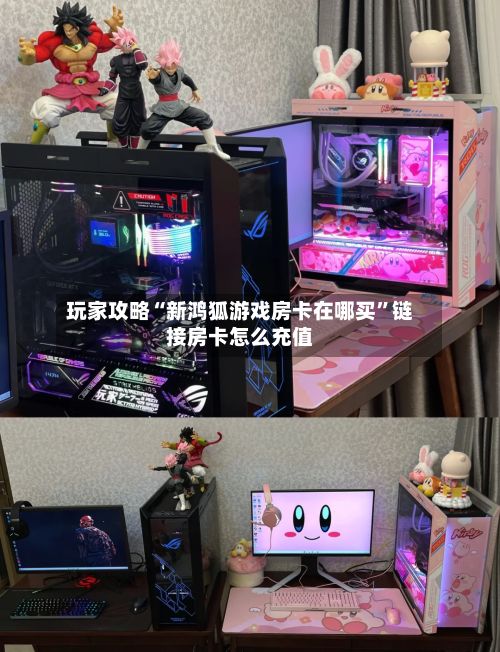 玩家攻略“新鸿狐游戏房卡在哪买”链接房卡怎么充值-第2张图片