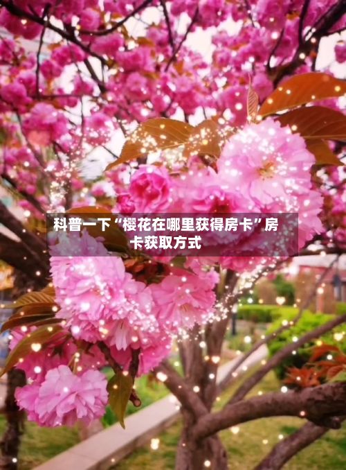 科普一下“樱花在哪里获得房卡”房卡获取方式-第2张图片