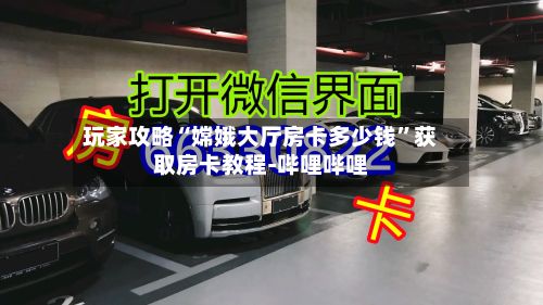 玩家攻略“嫦娥大厅房卡多少钱	”获取房卡教程-哔哩哔哩-第3张图片