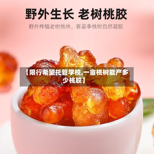 【限行希望托管学校,一亩桃树能产多少桃胶】