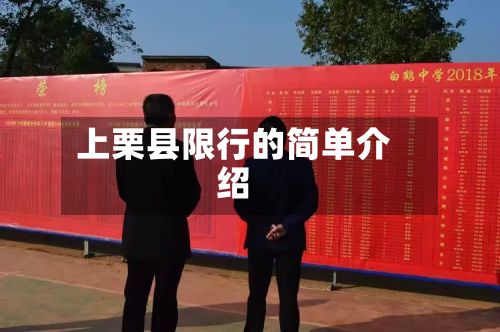 上栗县限行的简单介绍