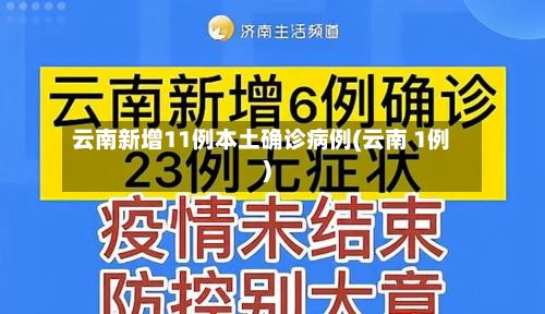 云南新增11例本土确诊病例(云南 1例)-第2张图片