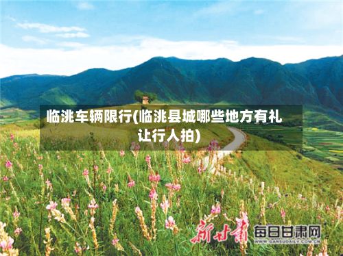 临洮车辆限行(临洮县城哪些地方有礼让行人拍)-第2张图片