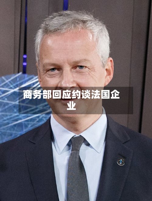 商务部回应约谈法国企业-第2张图片