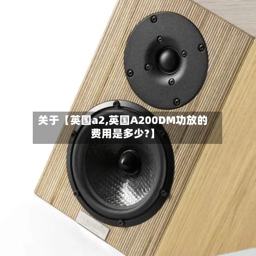 关于【英国a2,英国A200DM功放的费用是多少?】-第2张图片