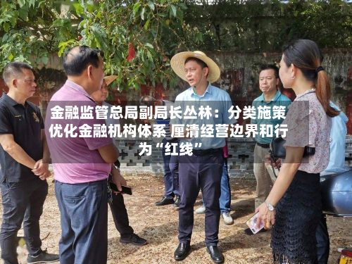 金融监管总局副局长丛林：分类施策优化金融机构体系 厘清经营边界和行为“红线	”-第3张图片