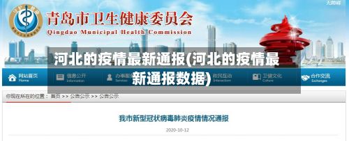 河北的疫情最新通报(河北的疫情最新通报数据)-第3张图片
