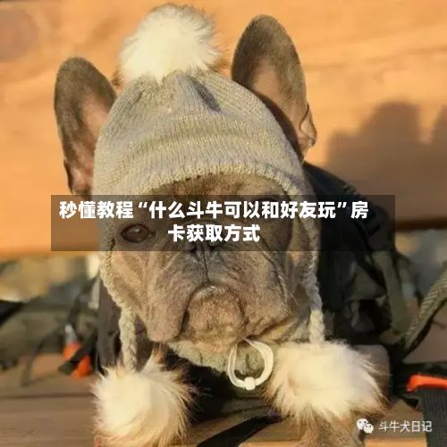 秒懂教程“什么斗牛可以和好友玩”房卡获取方式-第2张图片