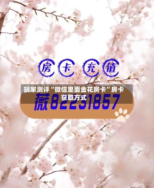 玩家测评“微信里面金花房卡	”房卡获取方式-第2张图片