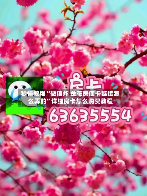 秒懂教程“微信炸 金花房间卡链接怎么弄的”详细房卡怎么购买教程-第2张图片
