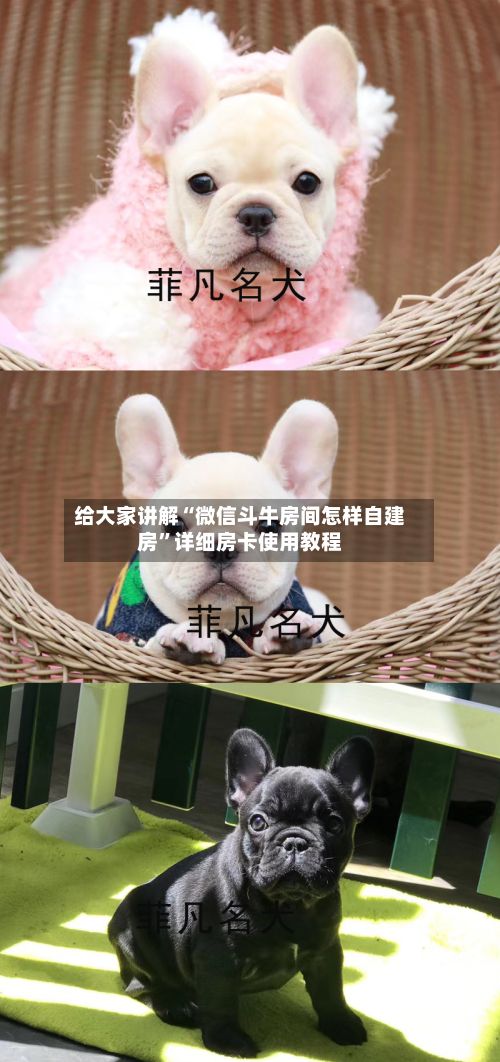 给大家讲解“微信斗牛房间怎样自建房”详细房卡使用教程-第2张图片