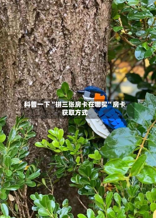 科普一下“拼三张房卡在哪买	”房卡获取方式-第2张图片