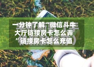 一分钟了解“微信斗牛大厅链接房卡怎么弄	”链接房卡怎么充值-第2张图片
