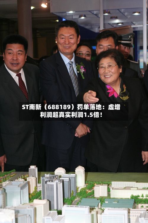 ST南新(688189)罚单落地:虚增利润超真实利润1.5倍!-第3张图片