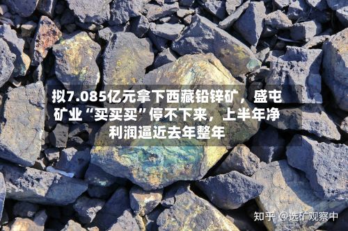 拟7.085亿元拿下西藏铅锌矿，盛屯矿业“买买买”停不下来，上半年净利润逼近去年整年