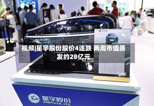 视频|星宇股份股价4连跌 两周市值蒸发约28亿元