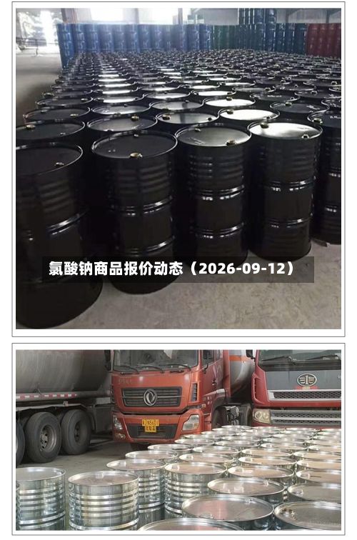 氯酸钠商品报价动态(2026-09-12)-第1张图片