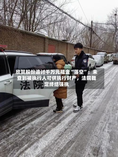 欣贺股份追讨千万元租金“落空”：未查到被执行人可供执行财产，法院裁定终结强执-第2张图片