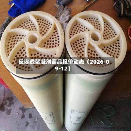 反渗透絮凝剂商品报价动态（2026-09-12）-第1张图片