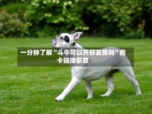 一分钟了解“斗牛可以开好友房吗	”房卡链接获取-第2张图片