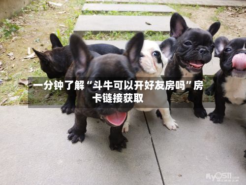 一分钟了解“斗牛可以开好友房吗”房卡链接获取