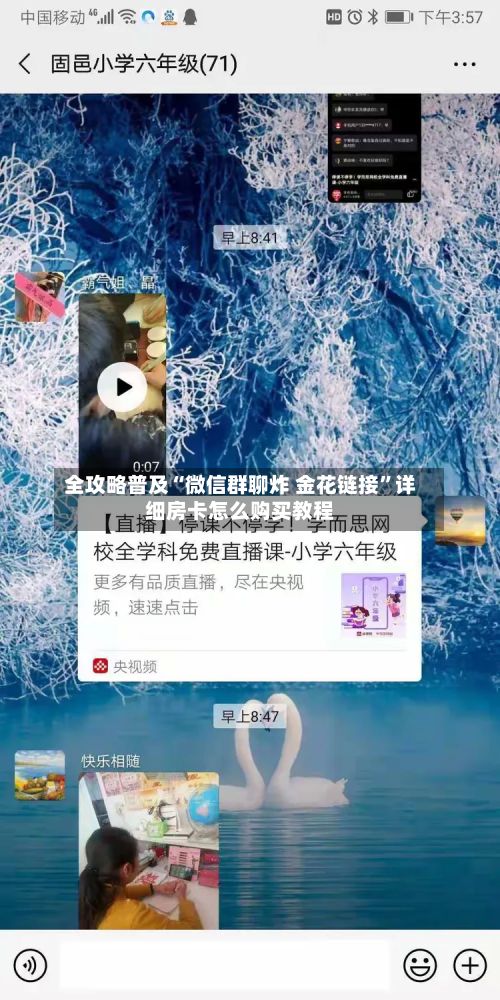 全攻略普及“微信群聊炸 金花链接	”详细房卡怎么购买教程-第3张图片