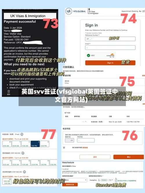 英国svv签证(vfsglobal英国签证中文官方网站)