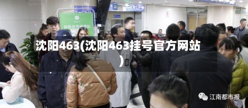 沈阳463(沈阳463挂号官方网站)-第3张图片