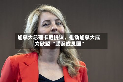 加拿大总理卡尼提议	，推动加拿大成为欧盟 “联系成员国	”-第3张图片