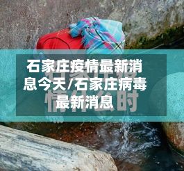 石家庄疫情最新消息今天/石家庄病毒最新消息-第2张图片
