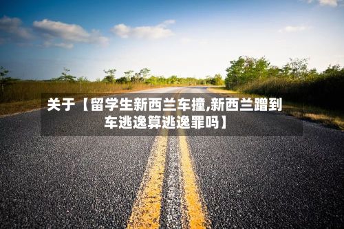 关于【留学生新西兰车撞,新西兰蹭到车逃逸算逃逸罪吗】-第3张图片