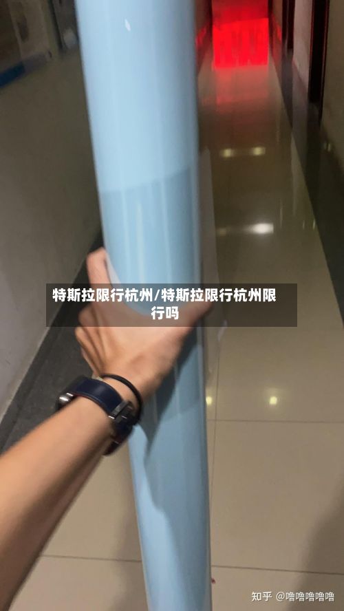 特斯拉限行杭州/特斯拉限行杭州限行吗-第2张图片