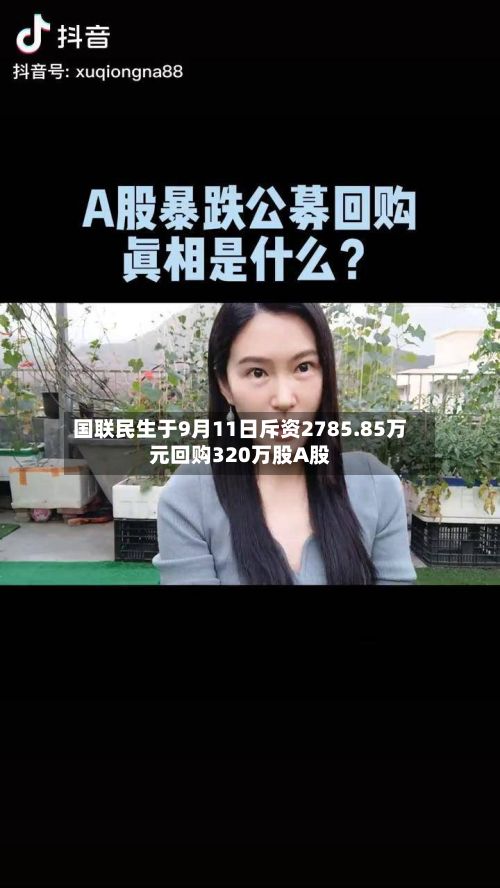 国联民生于9月11日斥资2785.85万元回购320万股A股-第1张图片