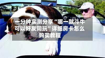 一分钟实测分享“哪一款斗牛可以好友同玩”详细房卡怎么购买教程