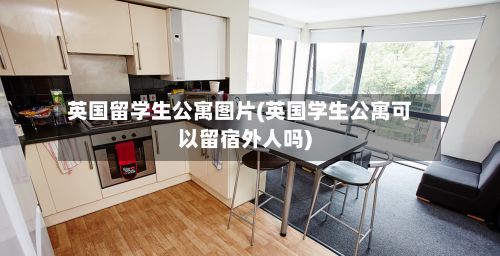 英国留学生公寓图片(英国学生公寓可以留宿外人吗)-第2张图片