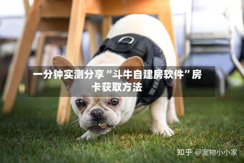一分钟实测分享“斗牛自建房软件”房卡获取方法-第2张图片