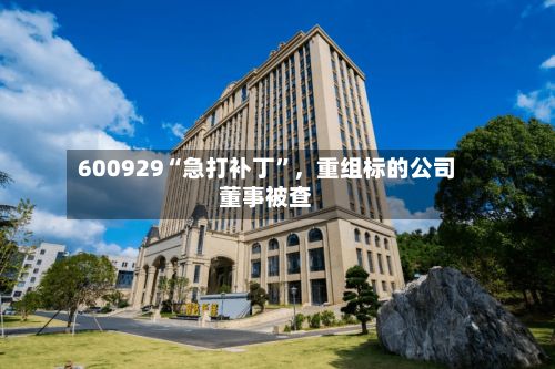 600929“急打补丁”，重组标的公司董事被查-第2张图片