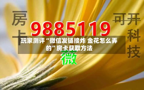 玩家测评“微信发链接炸 金花怎么弄的	”房卡获取方法-第3张图片
